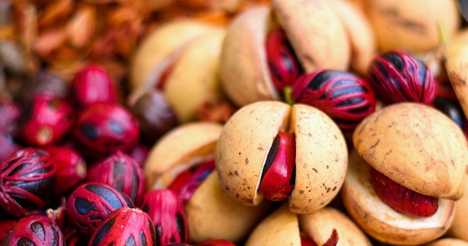 Freshly Produce Nutmeg