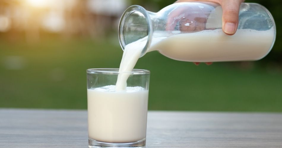 increase muscle weight
