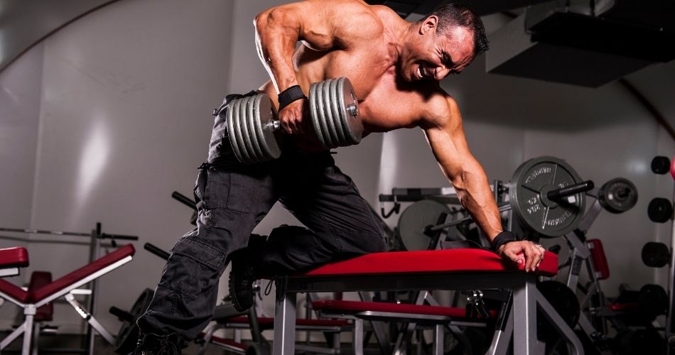 increase muscle weight