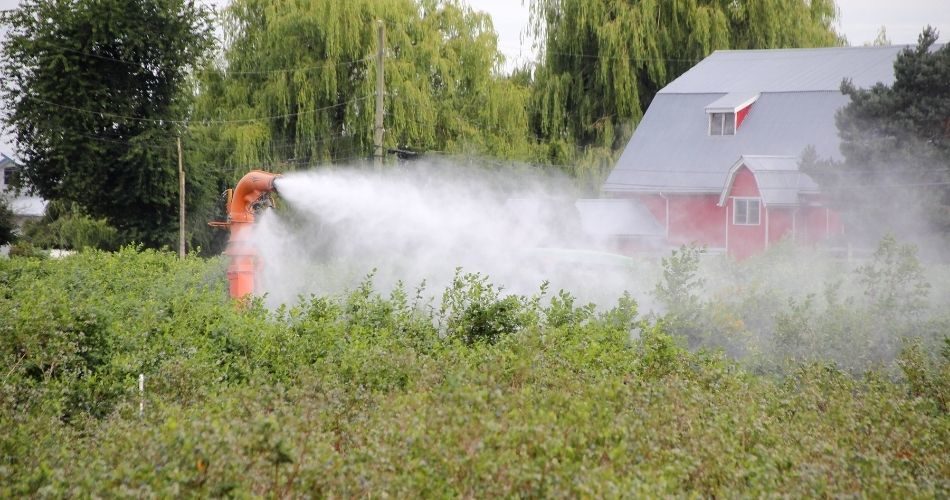 Moderate the use of pesticides in animal farms