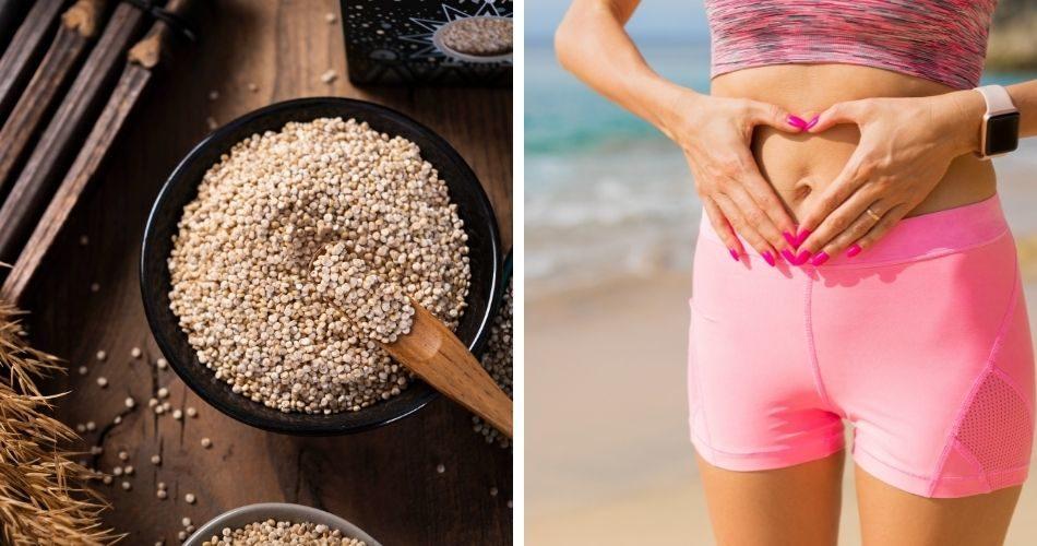 Regular Intake of Quinoa seeds promotes improved gut and digestive health