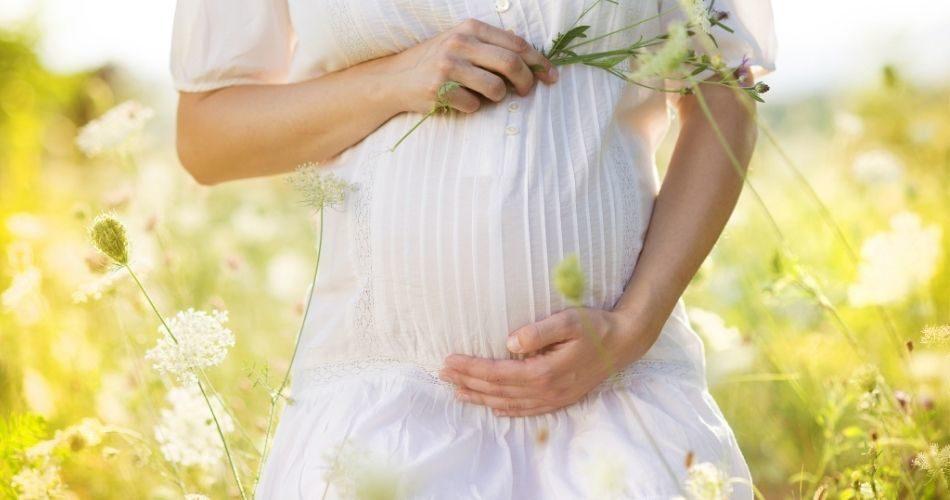 Poppy Seeds Helps to boost Female Fertility