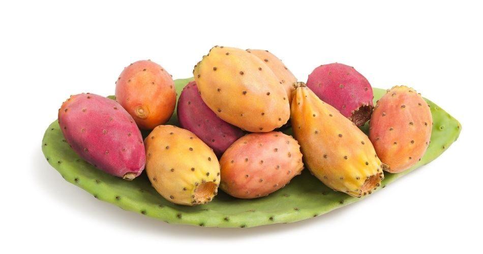 Prickly Pear fruit comes in two colors, greenish-yellow and purple.