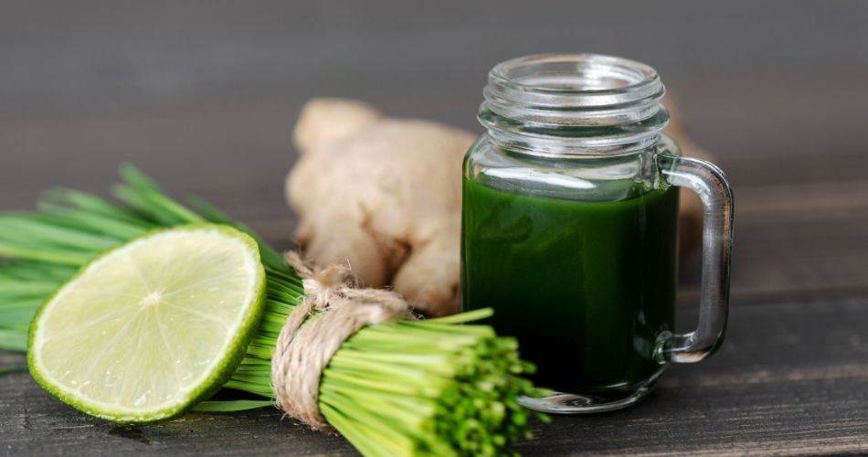 A bundle of wheatgrass with wheatgrass smoothie, lemon and ginger on a table