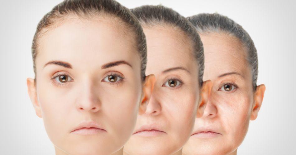 Regular intake of Shatavari prevents wrinkles and fine lines