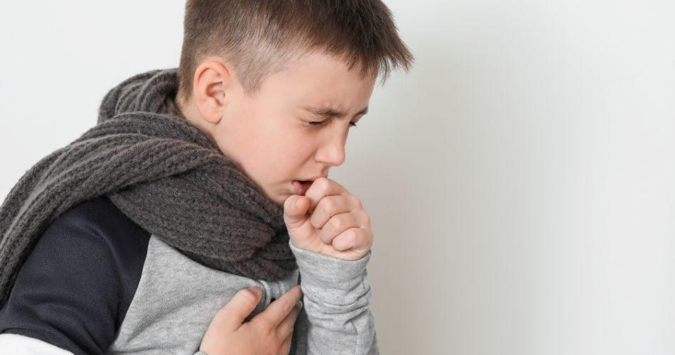 Shatavari roots extract helps relieving the cough
