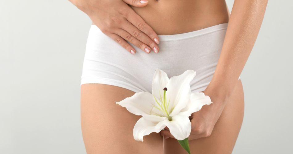 Shatavari improves female reproductive health
