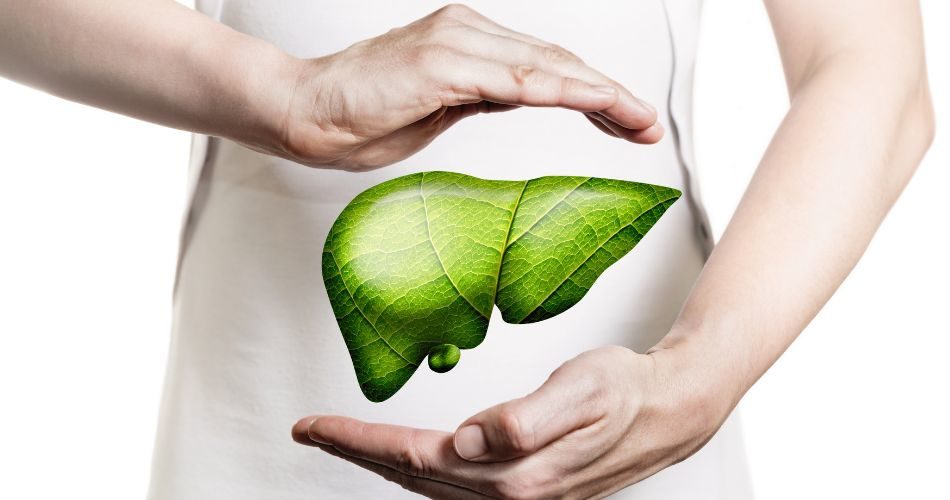 Being rich in Flavonoids, phenolic and saponins, Buransh helps detoxify your liver