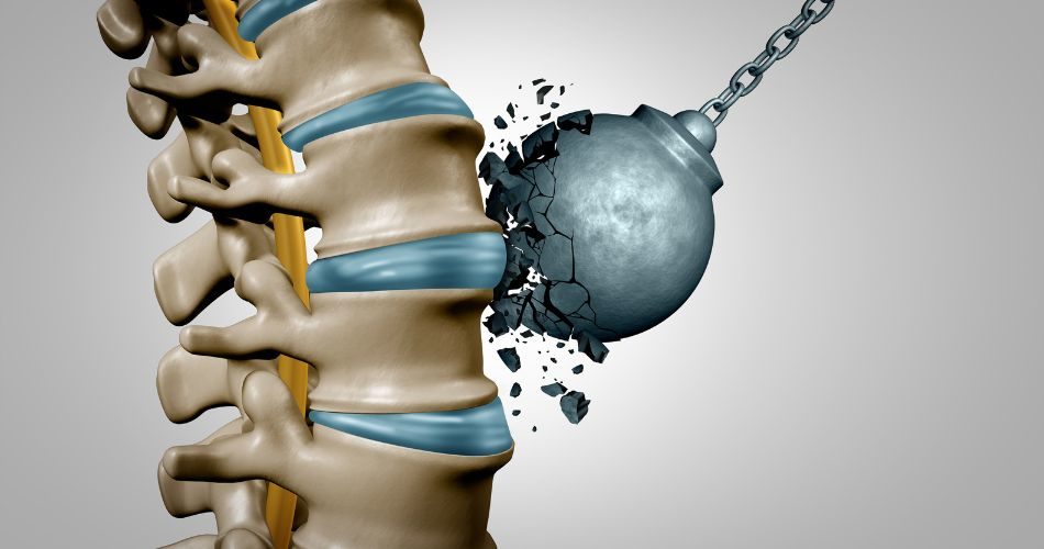 Being rich in calcium and Zinc, Buransh consumption makes your bones stronger